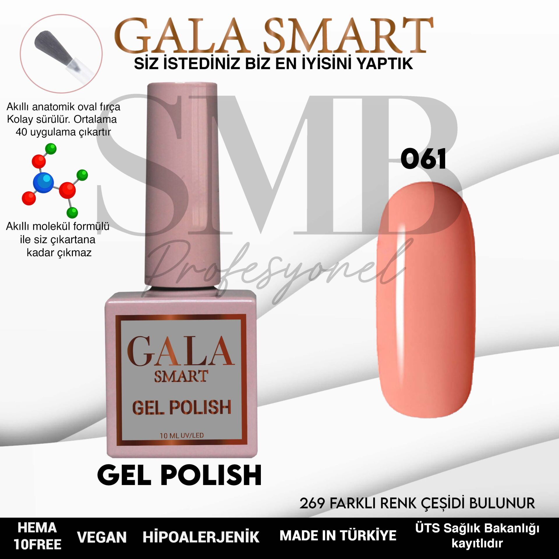GALA SMART CLASSİC KALICI OJE 10 mle NO:061