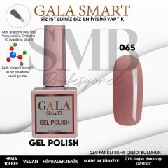 GALA SMART CLASSİC KALICI OJE 10 mle NO:065