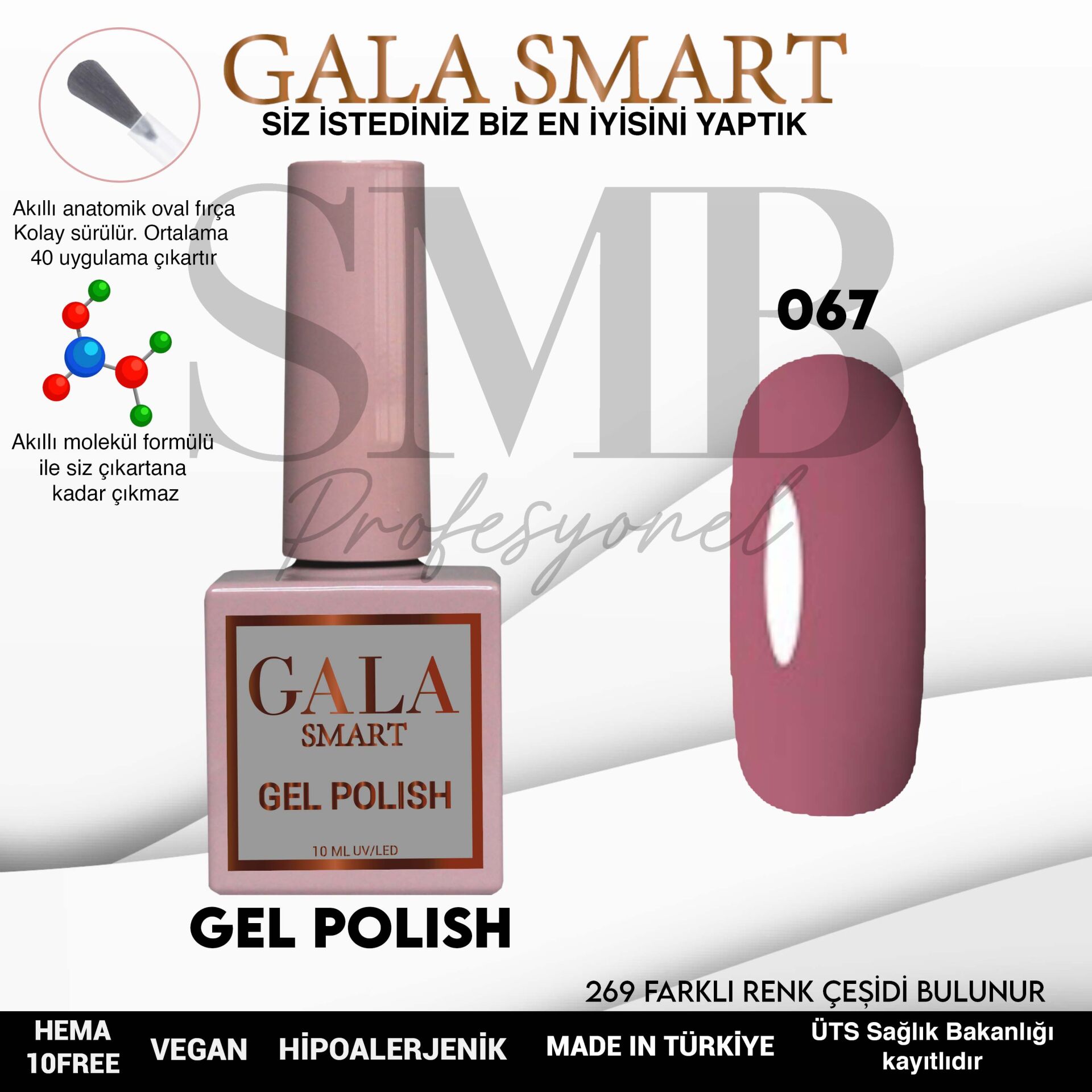 GALA SMART CLASSİC KALICI OJE 10 mle NO:067