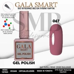 GALA SMART CLASSİC KALICI OJE 10 mle NO:067