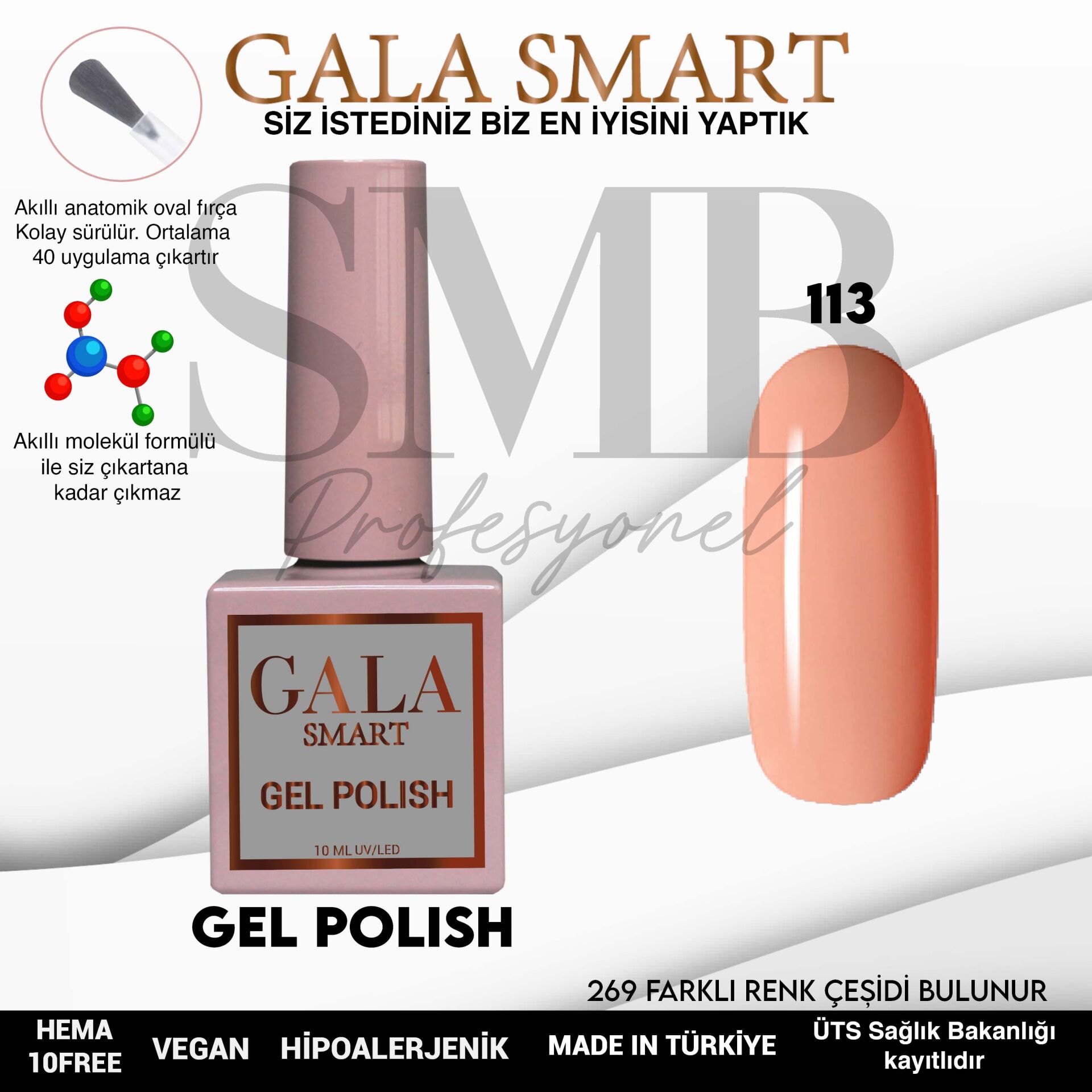 GALA SMART CLASSİC KALICI OJE 10 mle NO:113
