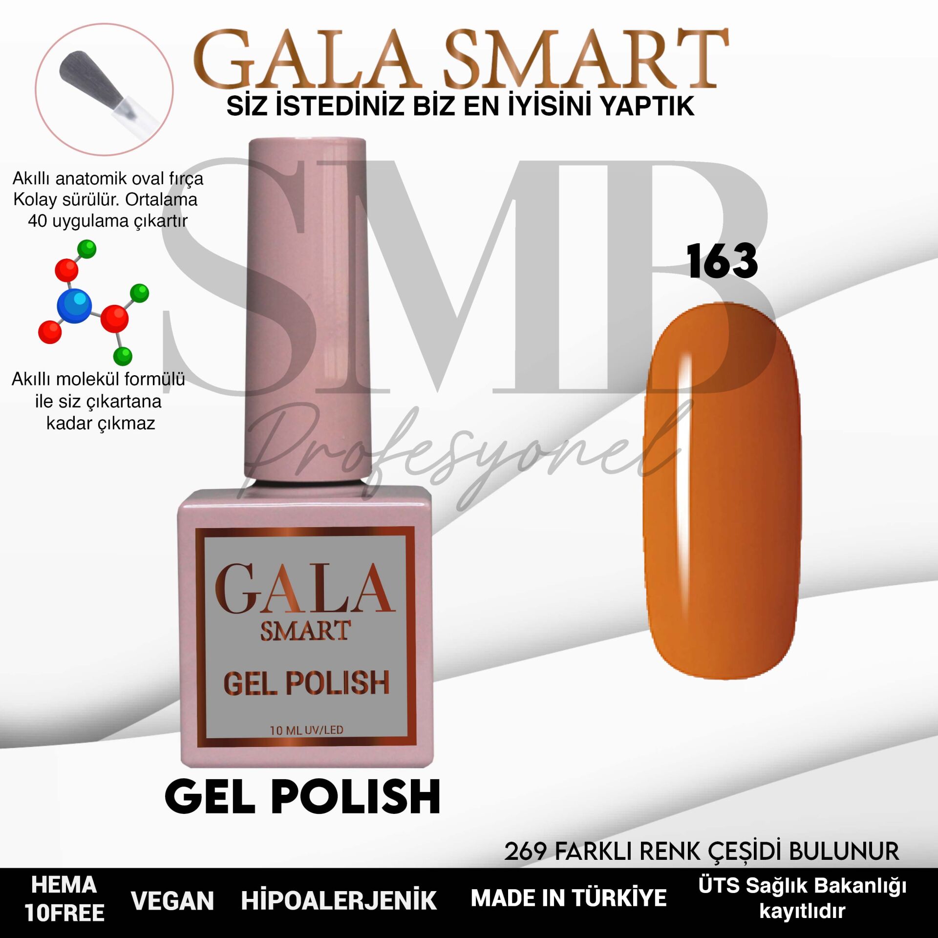 GALA SMART CLASSİC KALICI OJE 10 mle NO:163