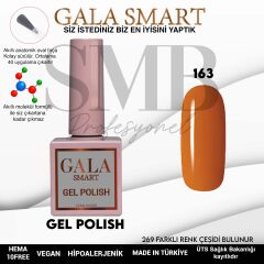 GALA SMART CLASSİC KALICI OJE 10 mle NO:163