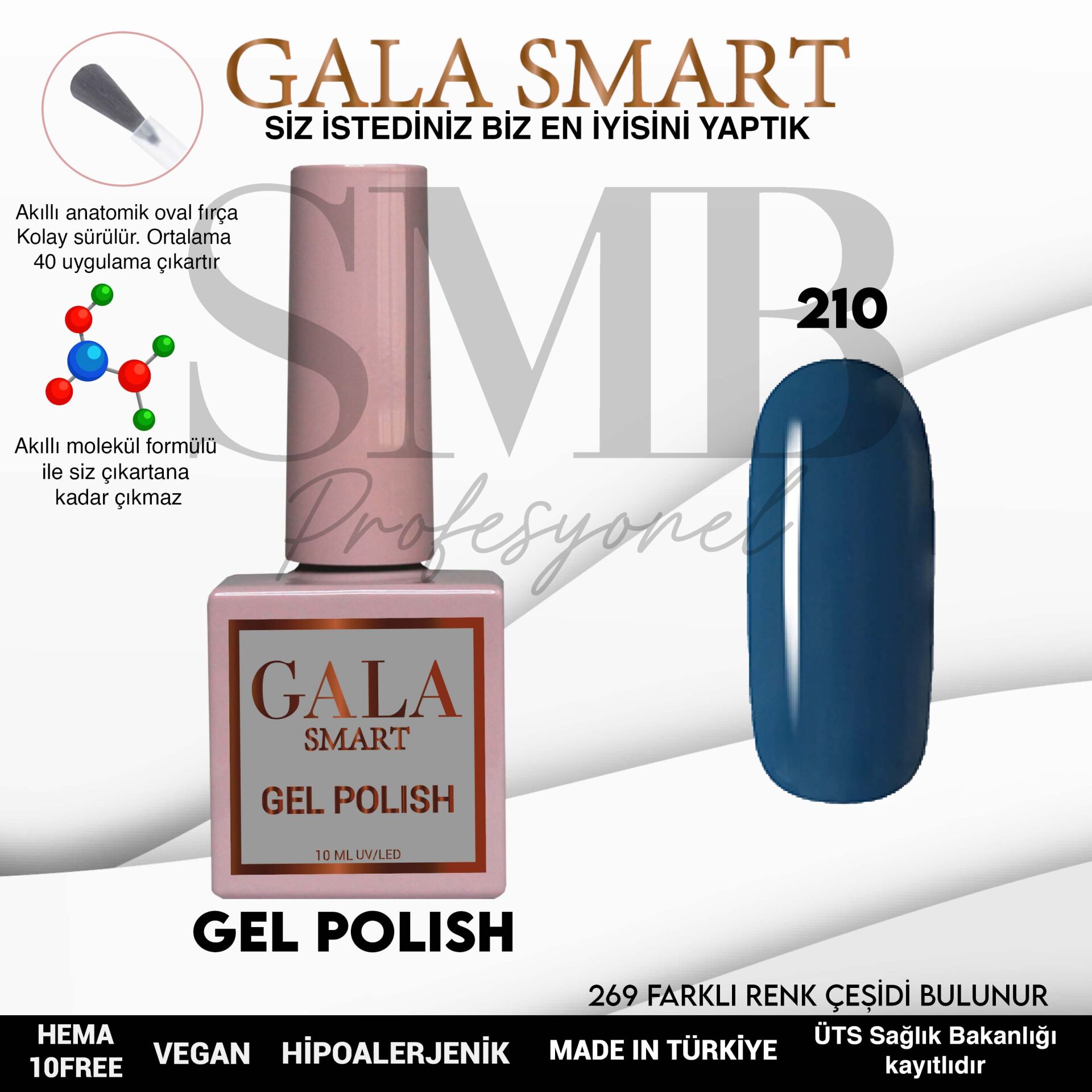 GALA SMART CLASSİC KALICI OJE 10 mle NO:210