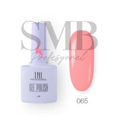 TNL CLASSİC KALICI OJE 10 ML 065