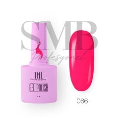 TNL CLASSİC KALICI OJE 10 ML 066