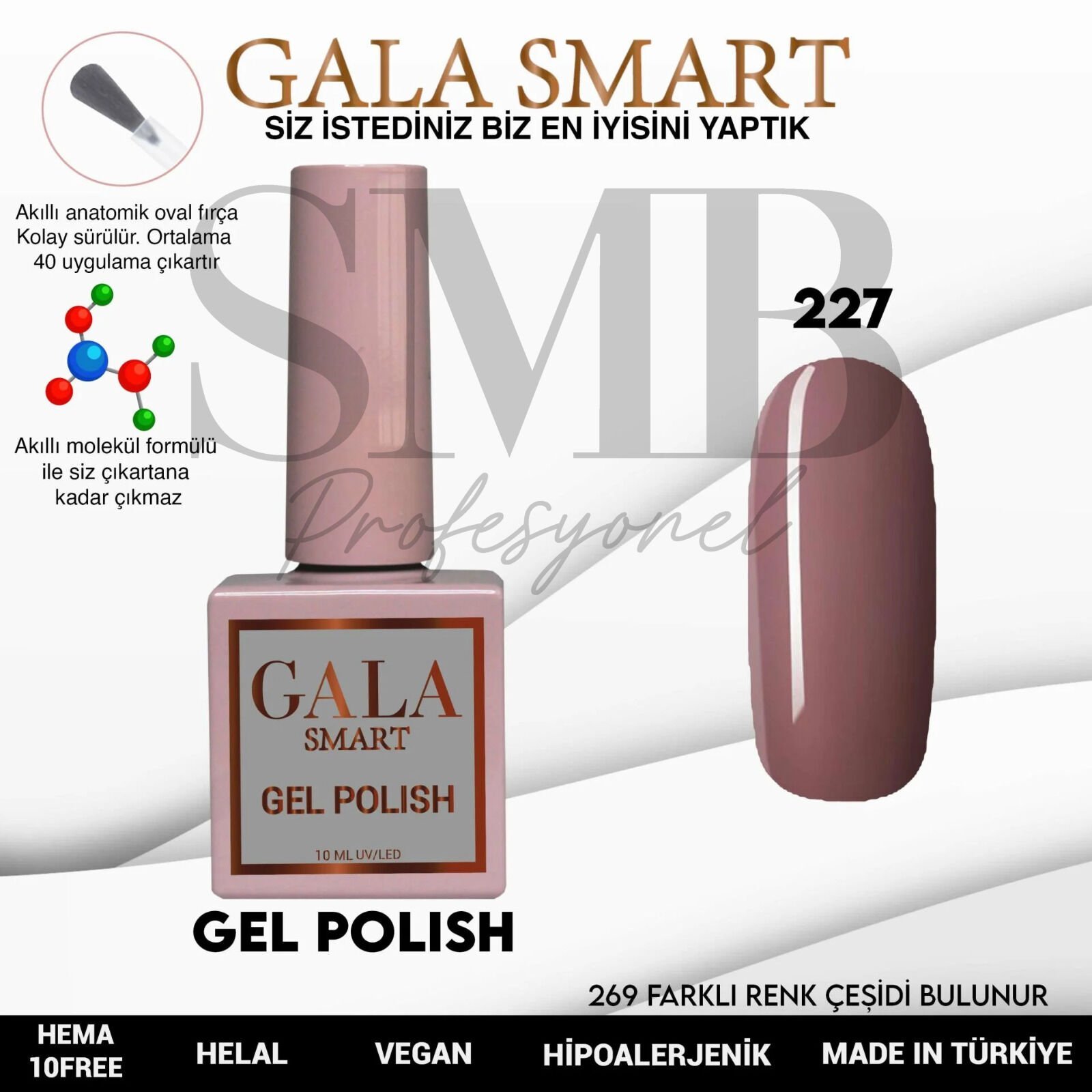 GALA SMART CLASSİC KALICI OJE 10 mle NO:227