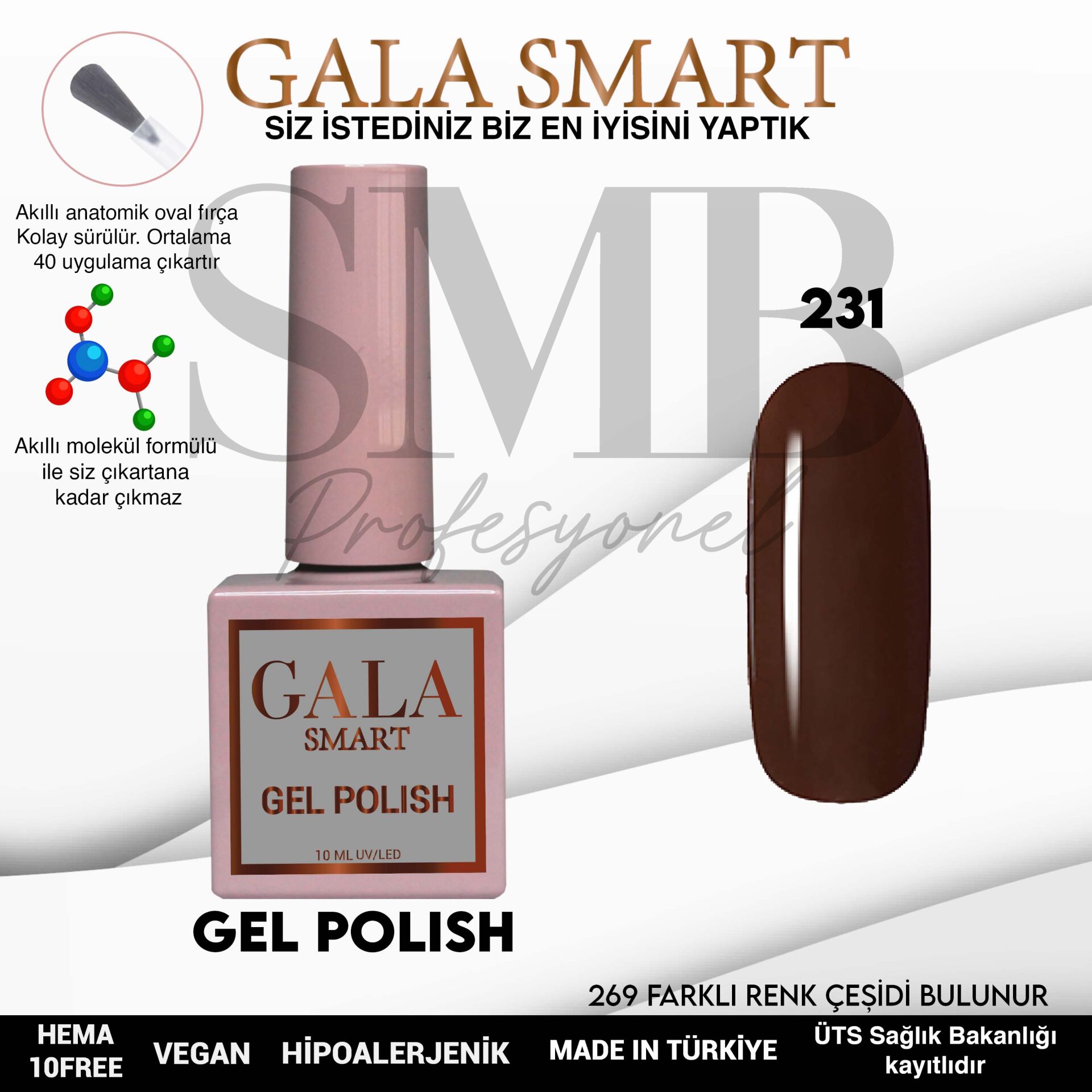 GALA SMART CLASSİC KALICI OJE 10 mle NO:231
