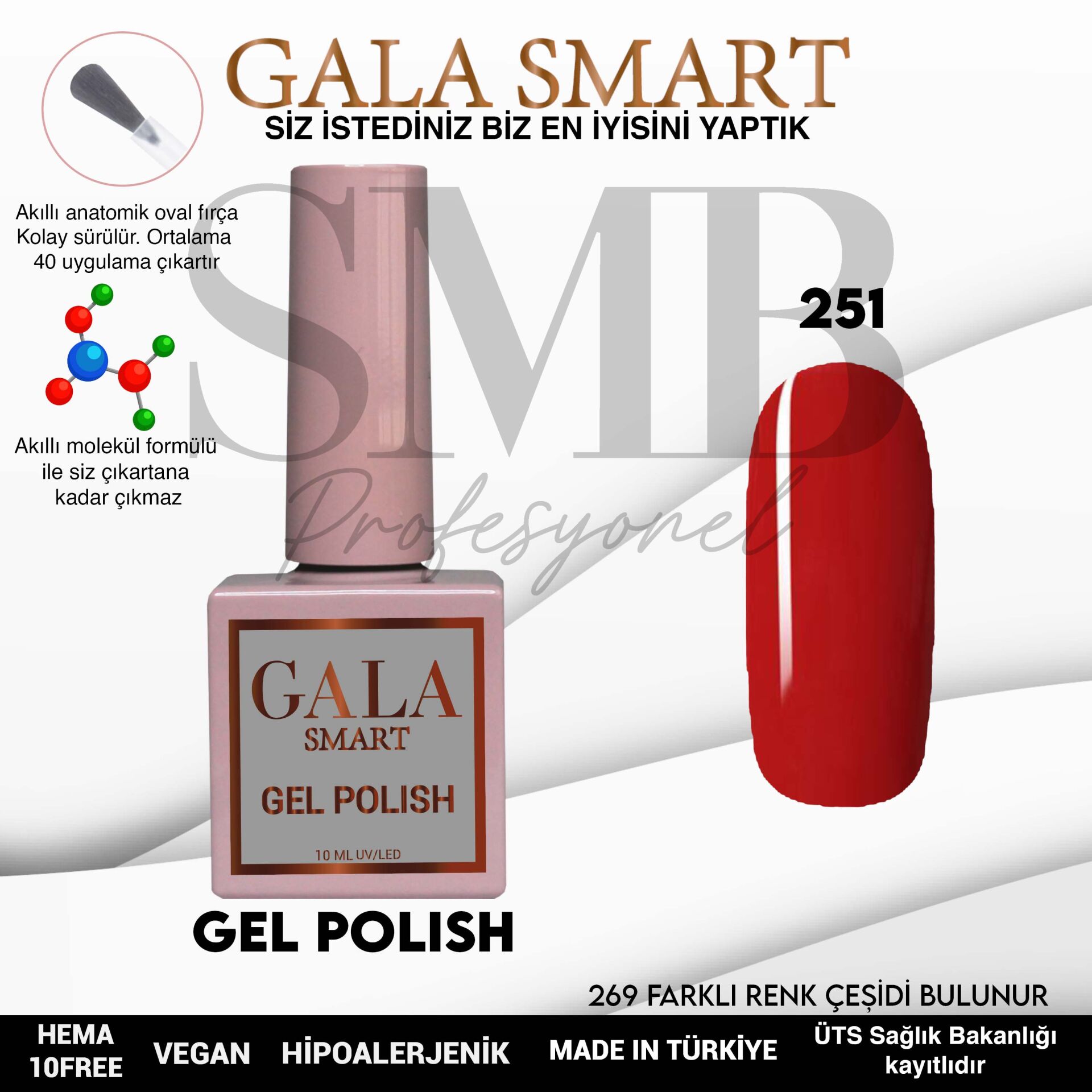 GALA SMART CLASSİC KALICI OJE 10 mle NO:251