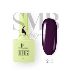 TNL CLASSİC KALICI OJE 10 ML 213