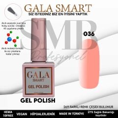 GALA SMART CLASSİC KALICI OJE 10 mle NO:036
